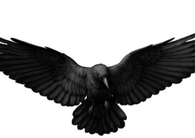 26 | WAY OF THE CROW | 31.7. * The crow, which always follows Kaal Bhairav, is a sacred magical creature that reveals the secrets of the unseen.